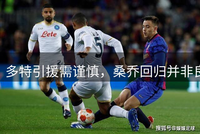 多特引援需谨慎，桑乔回归并非良策
